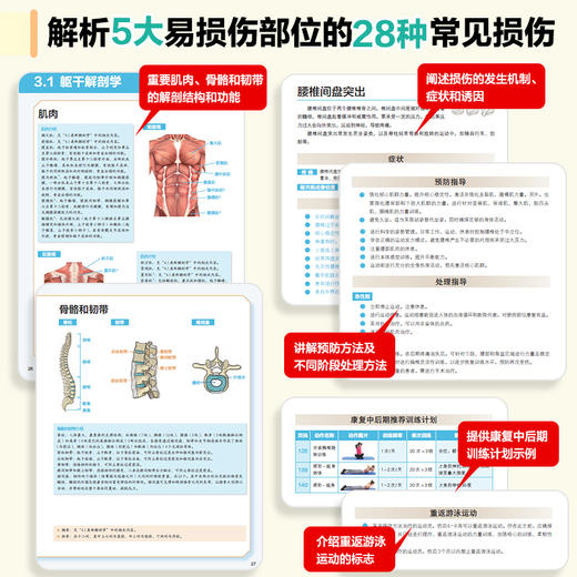 游泳运动损伤的预防与康复训练  运动康复书籍 商品图1