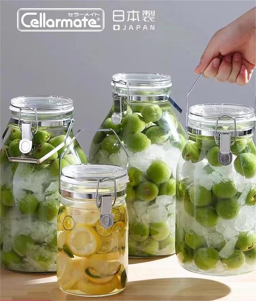 日本原装进口星硝密封罐，食品级泡酒玻璃酿酒手提罐 商品图0