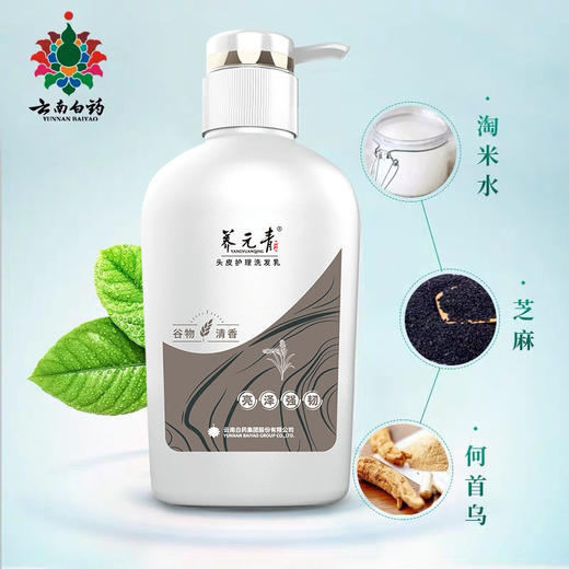 【官方正品】云南白药养元青生姜洗发露强根健发500ml普洱蓬松洗发水大瓶装植萃洗发水大瓶装无硅油 商品图12