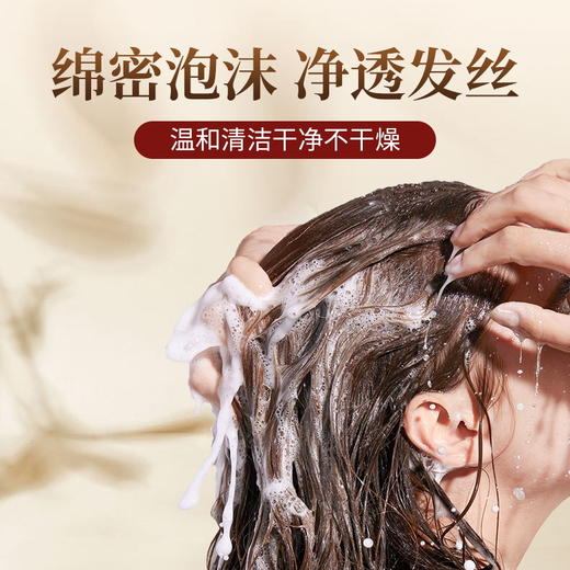 【纯手工白云山星群何首乌洗发皂】植萃滋养柔顺秀发蓬松控油温和清洁本草洗头皂 商品图2