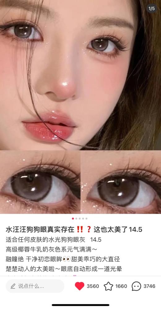clairecolor 日抛 狗狗眼灰 14.4/13.7 一盒一个度数 日抛无售后 商品图1