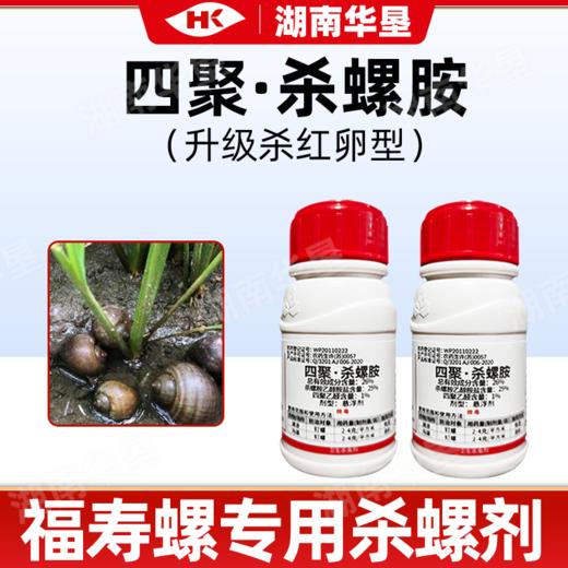 四聚乙醛杀螺胺福寿螺水稻田专用螺丝田螺福螺老牌子杀虫剂灭螺剂 商品图2