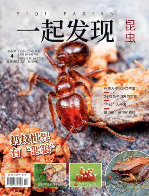 2024年《一起发现》过刊10本一次发出 商品图4
