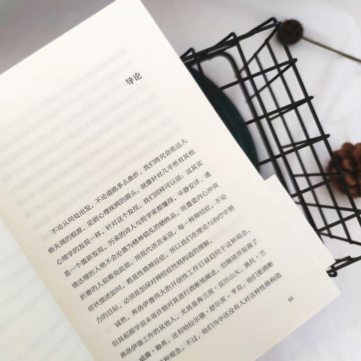 （5折包邮）我们内心的冲突（完整全译本，心理学大师写给普通人的心理自救书。拒绝精神内耗，附赠思维导图） 商品图6