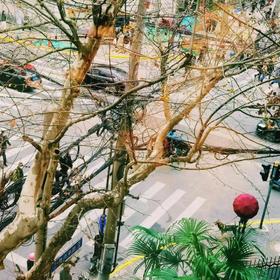 [屁侠推荐] 12骨双龙骨大伞 全自动折叠两用防晒晴雨伞 一键收/开伞