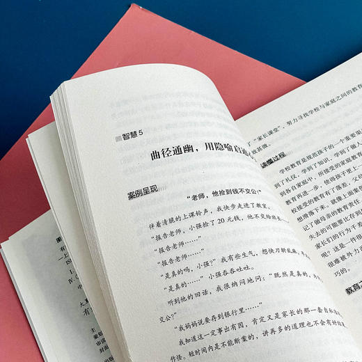有效处理学生问题的25个心理学智慧 大夏书系 教师读物教育心理 李进成 商品图8