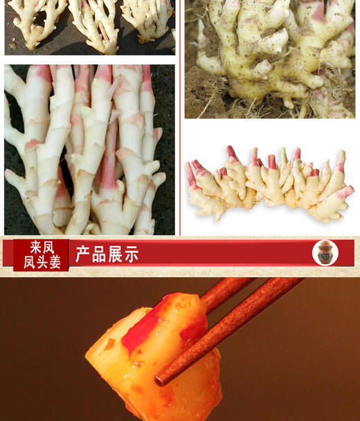 BQT恩施风头姜1KG/盒 商品图5