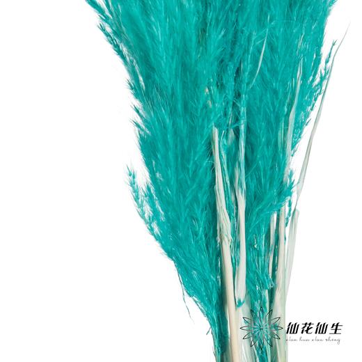 永生花材 | 金丝芦苇蒂芙尼蓝 商品图1