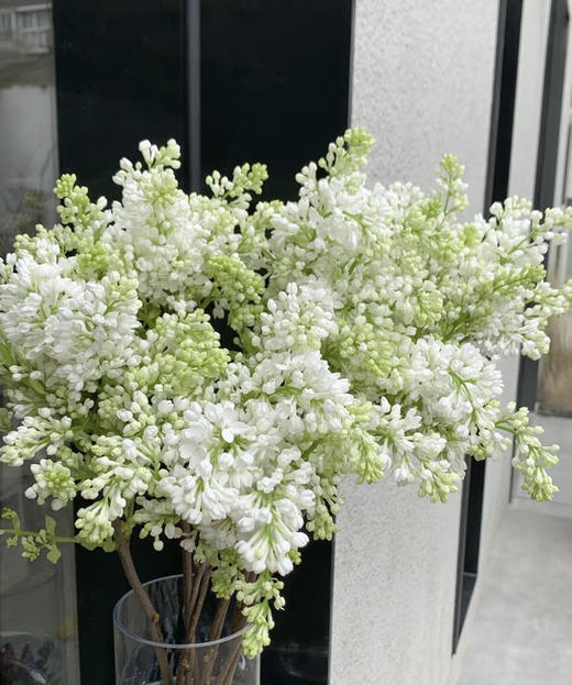 【等待爱情】丁香花 白色  若干枝/扎 商品图2