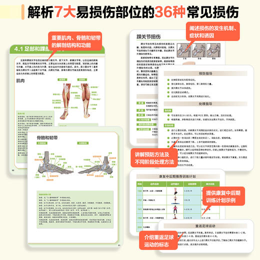 足球运动损伤的预防与康复训练 运动康复书籍 商品图2