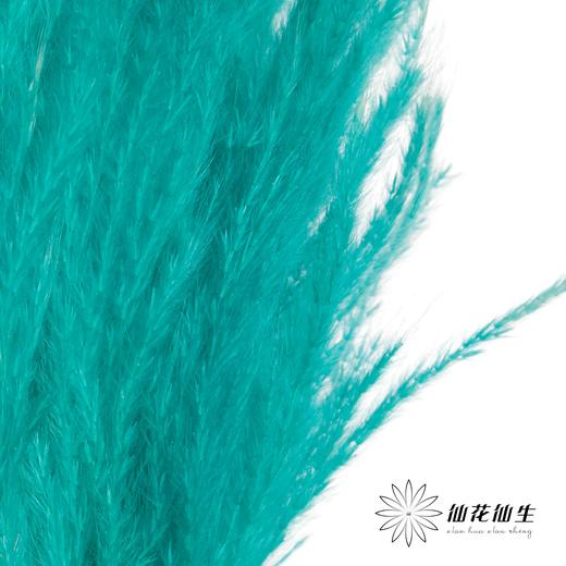 永生花材 | 金丝芦苇蒂芙尼蓝 商品图3