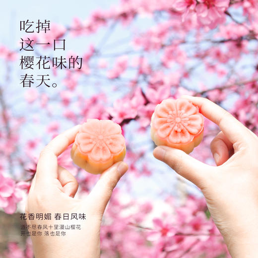 【现货】仟吉 武汉特色樱花饼  320g/盒    商品图3