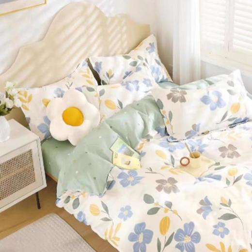 南5楼圣布凡全棉印花四件套 商品图0