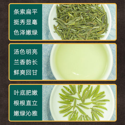 【2025春茶】东裕茗茶 精品仙毫200克金色礼盒装 精选嫩芽 汤色明亮 商品图2