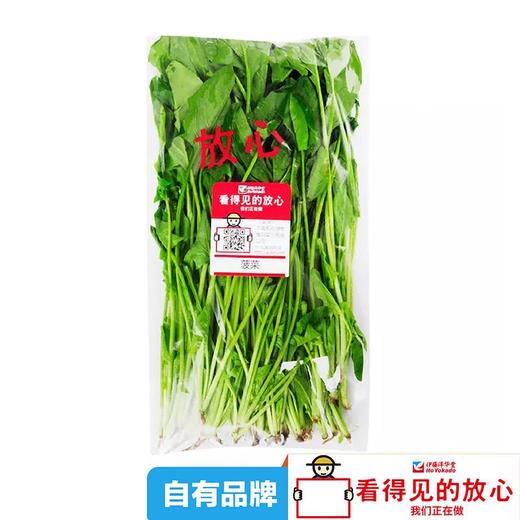 放心菠菜 约300g/袋 商品图4