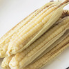 【绿色健康】羊城牌·云南拇指玉米1000g（±50g） 商品缩略图2