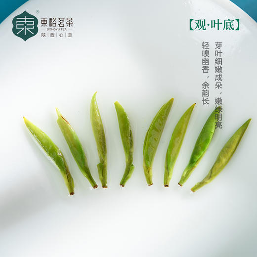 【2025春茶】东裕茗茶 精品仙毫252克瓷罐礼盒 高山茶园 开源头采 鲜爽回甘 商品图4
