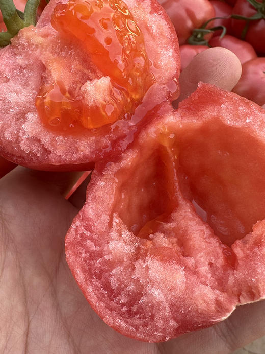 树熟沙蜜水果番茄🍅 商品图4