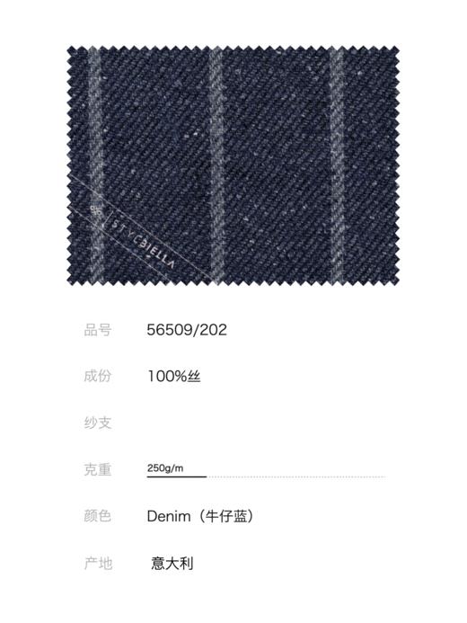 Stylbiella 纯蚕丝牛仔蓝宽条纹全麻衬单西 商品图2
