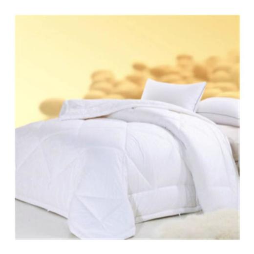 南5楼圣布凡大豆蛋白被 商品图0