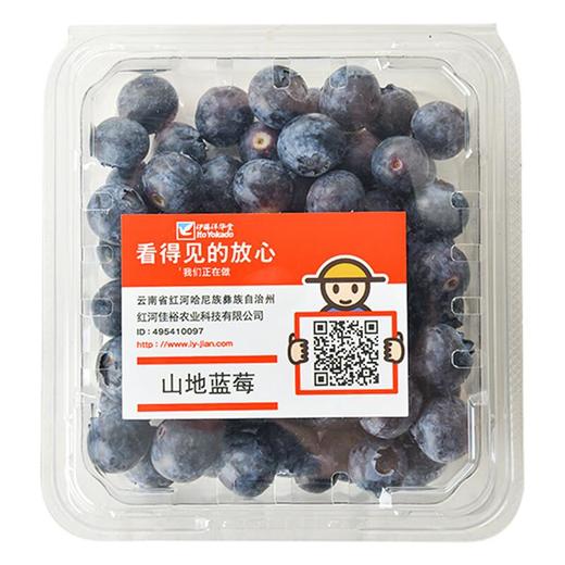 看得见的放心蓝莓14+  125g/盒 商品图4