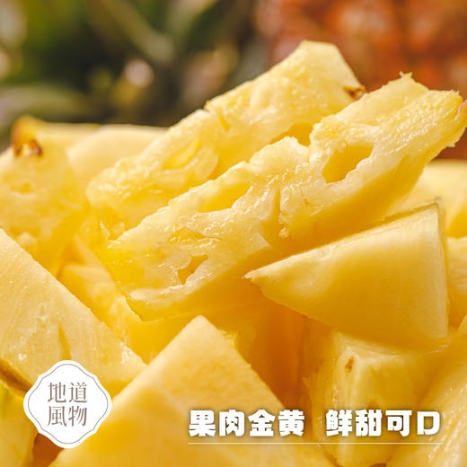 海南海口  金钻凤梨  多规格任选 商品图3