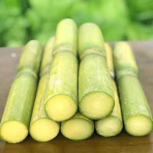 青皮甘蔗1.5kg 商品图1
