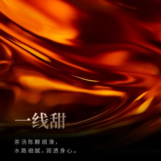 小罐茶【年迹老茶】普洱茶调和茶2003年紧压小饼茶20年以上礼盒装 商品图4