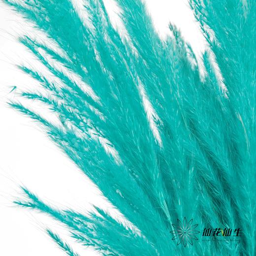 永生花材 | 金丝芦苇蒂芙尼蓝 商品图2