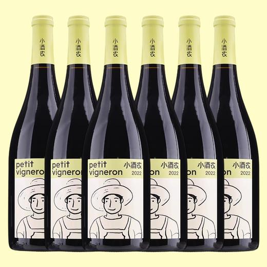 【整箱】中国年轻人第壹支酒！寸山创始人亲酿！小酒农赤霞珠干红 Petit Vigneron Cabernet Sauvignon 2022【百元价位酔好的中国酒】 商品图0