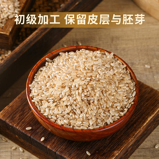有机糙米 保留皮层与胚芽5斤装【中原仓京东快递发货】 商品图2