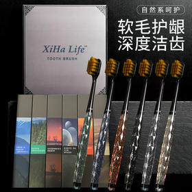 「19.9元到手6支！礼盒装」轻奢细丝软毛牙刷 居家日用成人家庭旅行装彩晶手柄情侣口腔护理牙刷