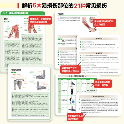 羽毛球运动损伤的预防与康复训练 运动康复书籍 商品图1