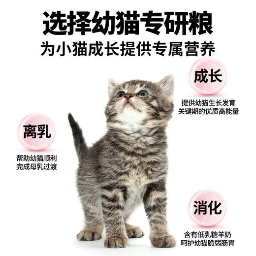 诚实一口K01幼猫孕猫专用粮高蛋白羊奶粉配方猫粮1.5kg 商品图2