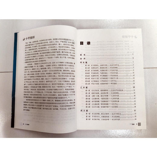 《十干精粹》 蔡昔琼 著 商品图1