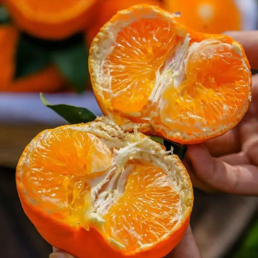 云南鹅蛋柑，鲜果，口感纯甜，果香浓郁，汁水超足，4.5斤/袋 商品图1