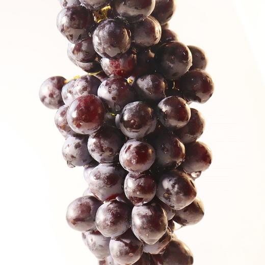 智利进口玫瑰香无籽黑提2斤装 商品图4