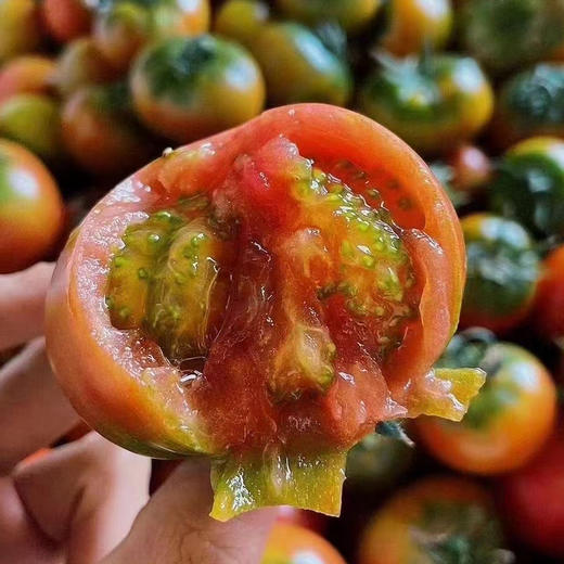 铁皮草莓番茄🍅
底部呈绿色，果面青红相间，肉厚味甜，肉质脆爽，酸度和糖度都非常高，口味非常出众。。。小时候哒味道！ 商品图2