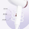 长虹DCF-1210A01电吹风 商品缩略图1