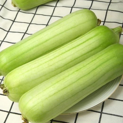 桂林白玉丝瓜 商品图2