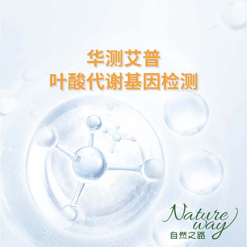 华测 叶酸代谢基因检测0521