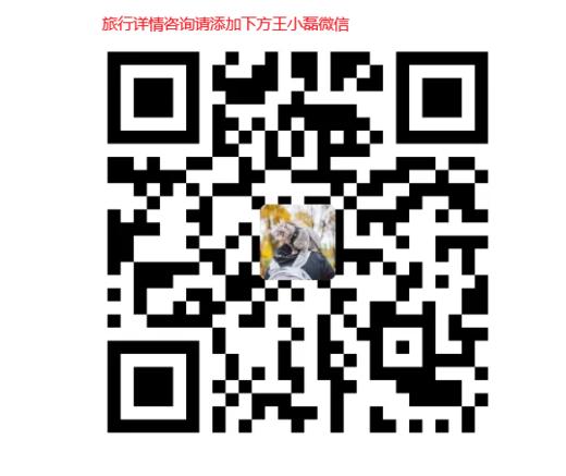 云南携宠游12天（北京出发） 具体详情添加详情图内王小磊微信咨询 商品图1