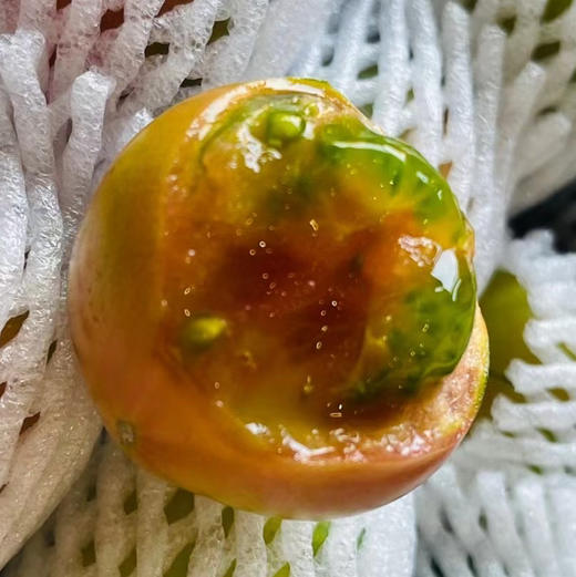 铁皮草莓番茄🍅
底部呈绿色，果面青红相间，肉厚味甜，肉质脆爽，酸度和糖度都非常高，口味非常出众。。。小时候哒味道！ 商品图1