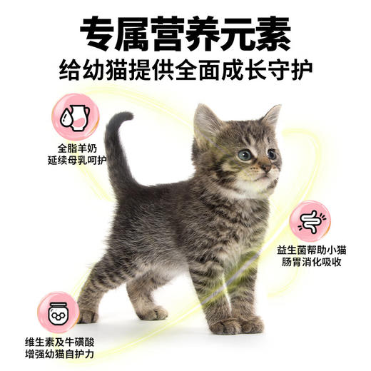 诚实一口K01幼猫孕猫专用粮高蛋白羊奶粉配方猫粮1.5kg 商品图1