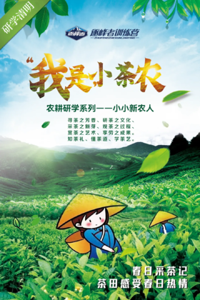 【烟台站】2024清明-我是小茶农，踏春研学“趣”采茶！