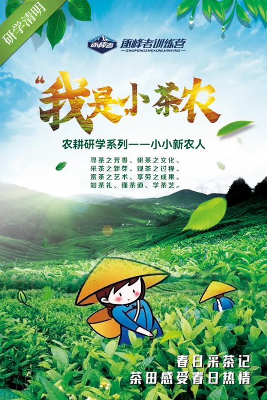 【烟台站】2024清明-我是小茶农，踏春研学“趣”采茶！ 商品图0