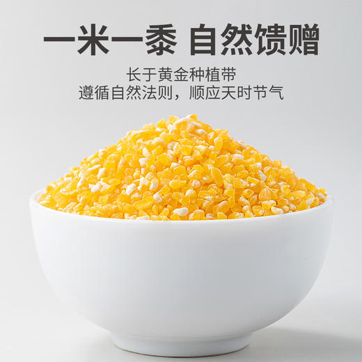 有机玉米糁450g/袋*2 商品图4