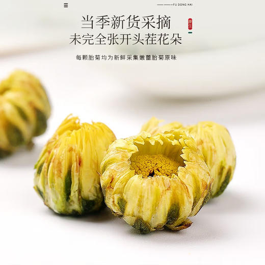 福东海 胎菊50克【实体品质】菊花茶叶杭白菊干金银花凉茶泡水养生花茶 商品图3