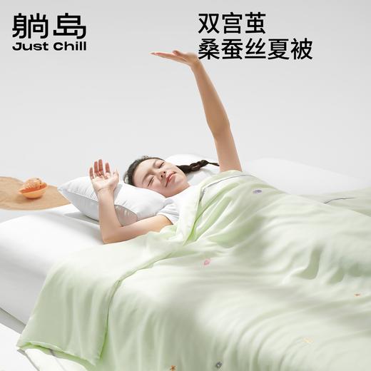 躺岛双宫茧蚕丝被 商品图0