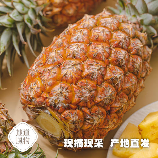 海南海口  金钻凤梨  多规格任选 商品图4